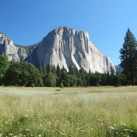 Scenic Mountain View with Meadow