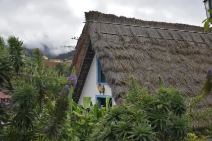 Madeira Countryside Homestead