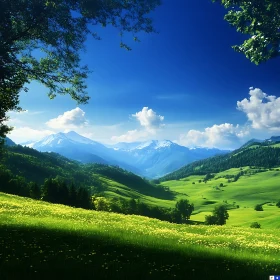 Lush Green Valley Under Blue Sky