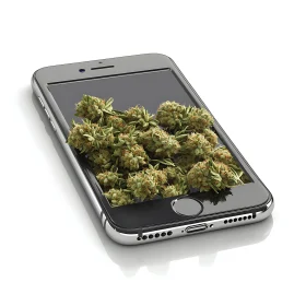 Mobile Cannabis Concept