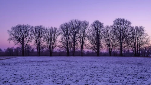 Snowy Field and Trees in Winter