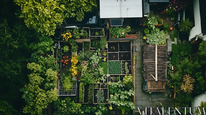 Lush Green Garden from Above AI Image