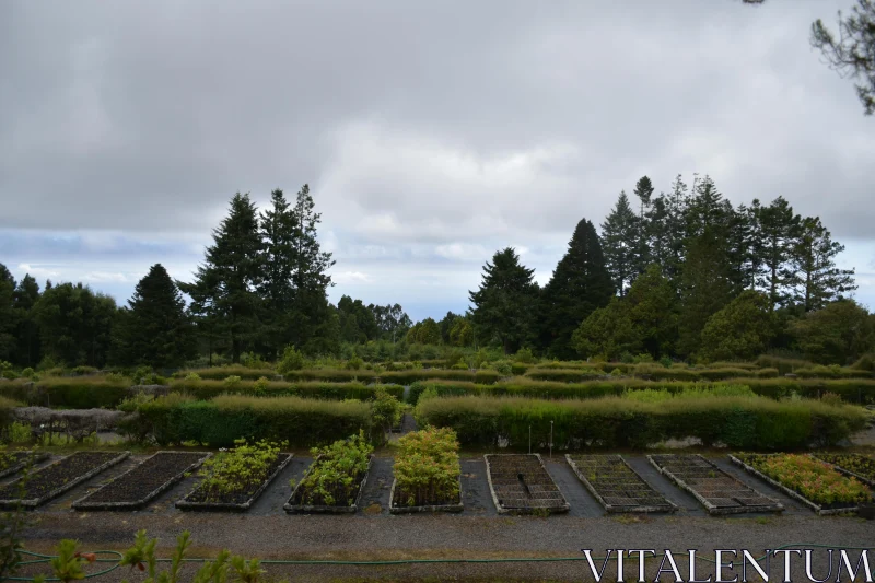 Tranquil Countryside Garden View Free Stock Photo