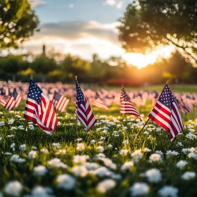 American Flags in a Flower Field