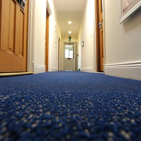 Interior Hallway with Blue Carpet