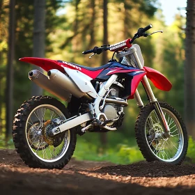 Off-Road Motorcycle in Natural Environment