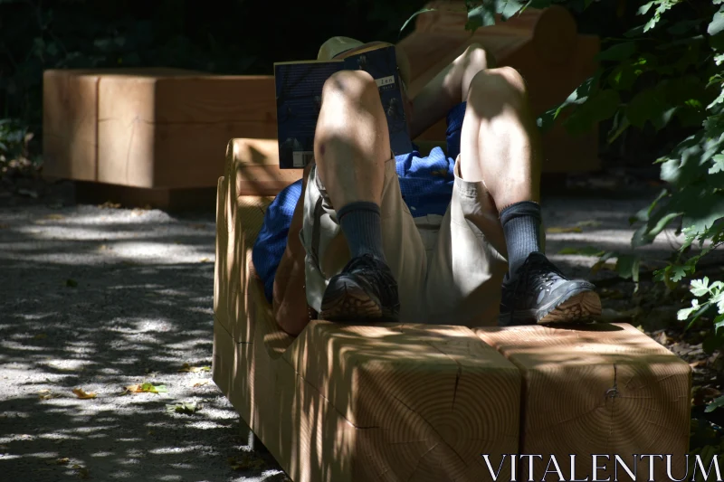 Leisurely Reading in Forest Light Free Stock Photo