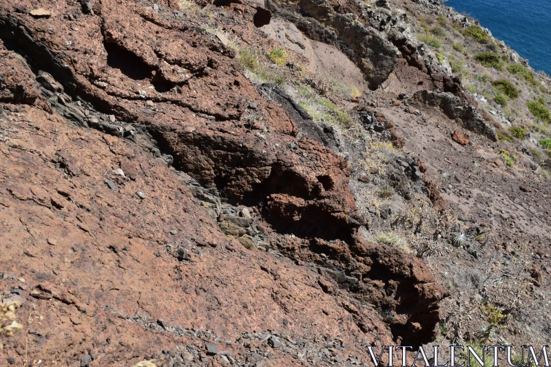 PHOTO Rocky Coastline Erosion