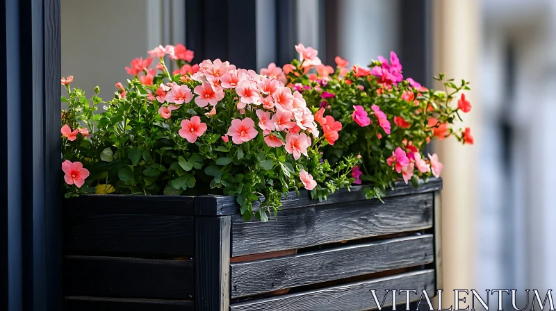 Petunias in a Window Box AI Image