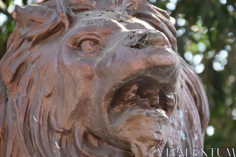 Detailed View of Bronze Lion Sculpture Free Stock Photo