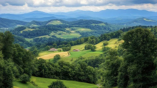 Lush Green Hills Landscape