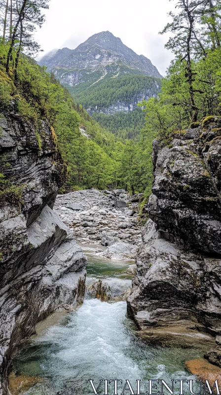 Mountainous River Landscape with Lush Greenery