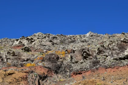 Colorful Rocky Terrain with Vegetation