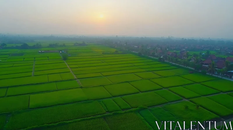 Aerial View of Green Rice Terraces AI Image