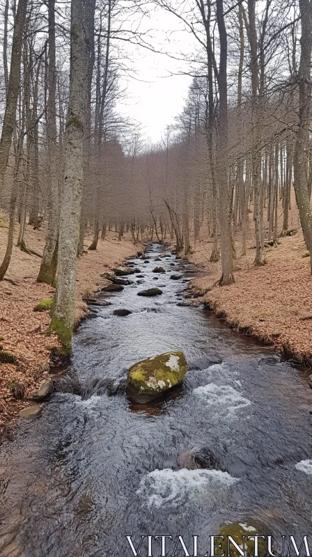 AI ART Autumn Stream Amidst Leafless Trees