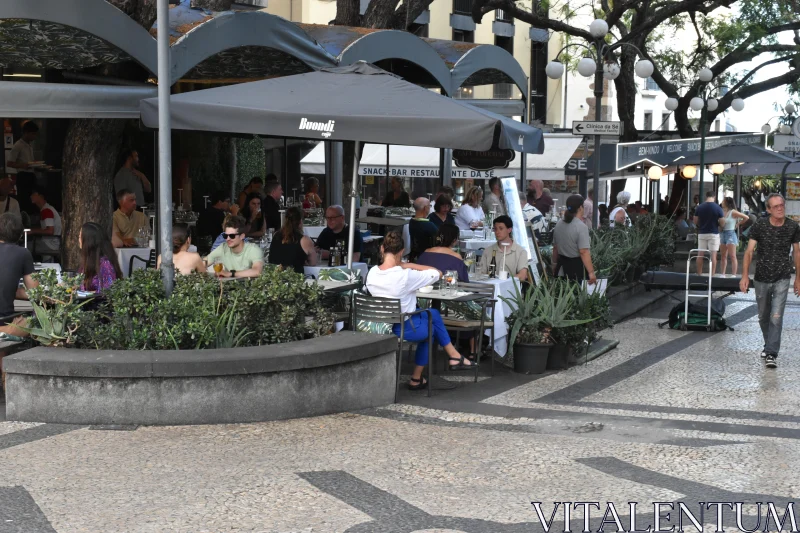 PHOTO Relaxing Madeira Café