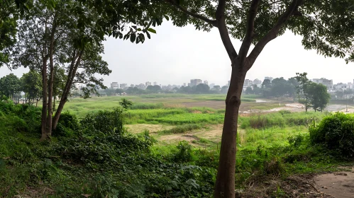 Peaceful Landscape with Urban Backdrop