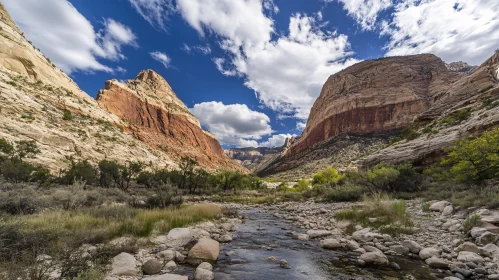 Scenic Canyon Landscape with River and Cliffs