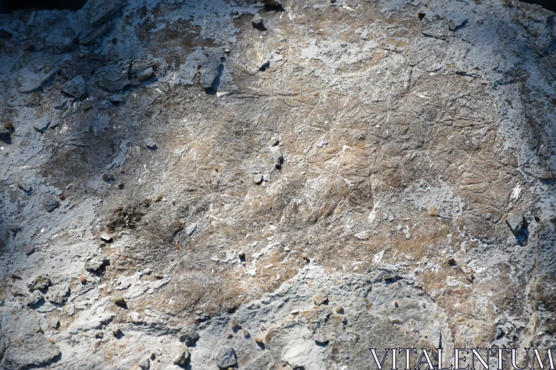 PHOTO Geological Patterns on a Natural Rock