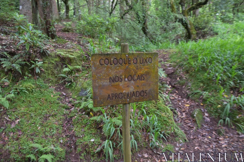 Eco Sign Amidst Green Forest Free Stock Photo