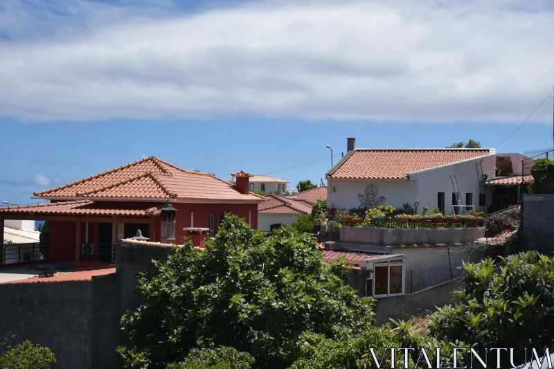 Madeira Village with Stunning Rooftops Free Stock Photo