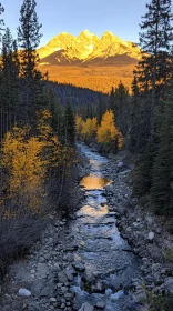 Mountain River and Autumn Forest at Dusk