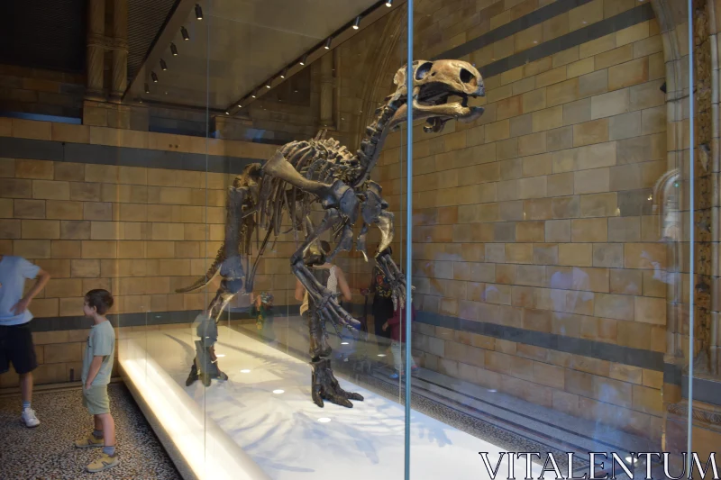 Prehistoric Dinosaur Display Free Stock Photo