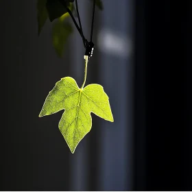 Sunlit Leaf Highlighting Veined Patterns