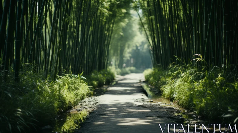 Serene Bamboo Forest: A Tranquil Chinese Gardenscape AI Image