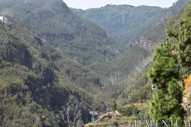 Cable Cars Amidst Lush Mountains Free Stock Photo