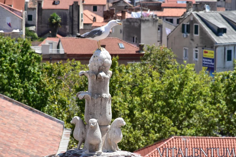 Urban Bird on Artistic Sculpture Free Stock Photo