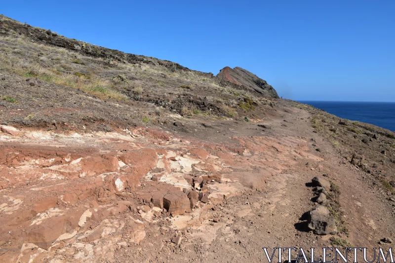 Rocky Coastal Trail under Blue Skies Free Stock Photo