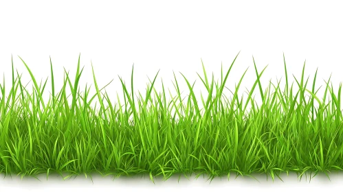 Vibrant Green Grass Isolated