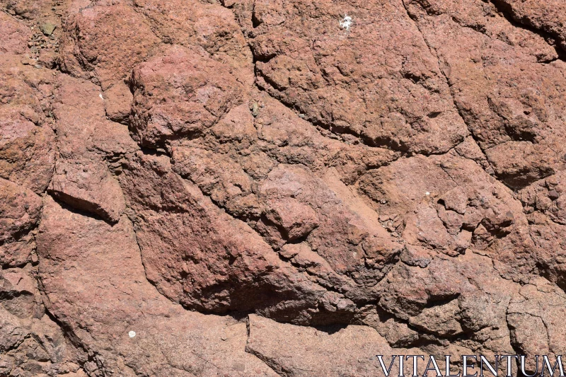 PHOTO Rugged Mineral Surface Close-Up