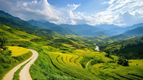 Green Rice Fields and Mountain View