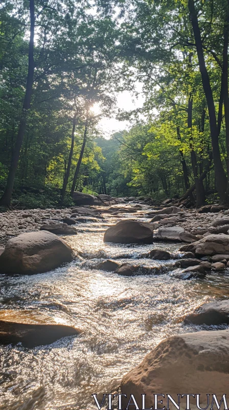 AI ART Tranquil Forest Stream with Sunlight