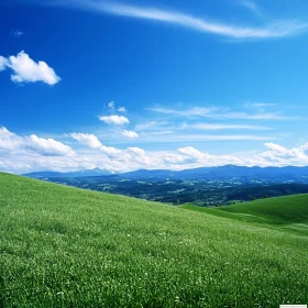 Rolling Green Hills and Blue Sky