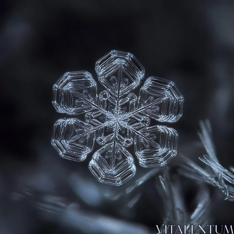 Detailed Close-Up of a Snowflake