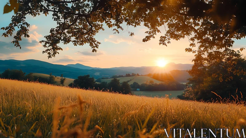 Tranquil Sunset Over Golden Field