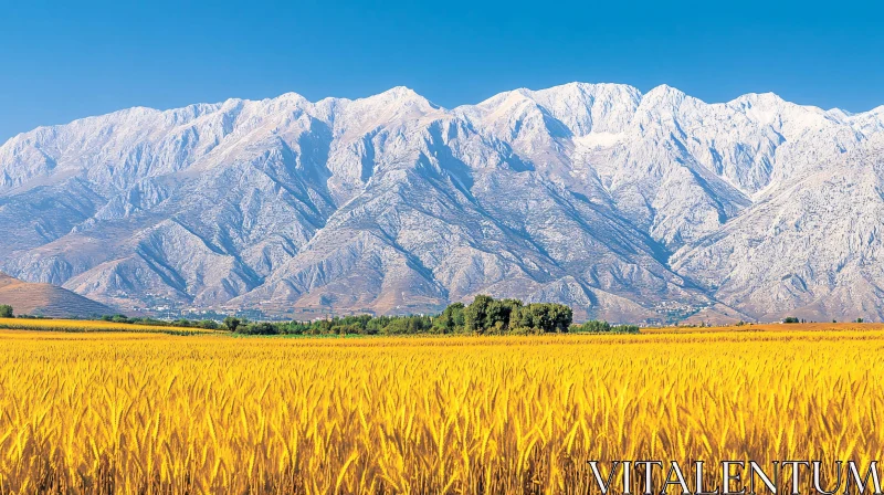 Scenic Mountain and Field Landscape