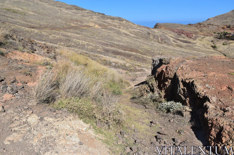 PHOTO Rocky Terrain under Blue Skies