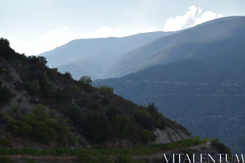 PHOTO Serene Hillside and Mountain View