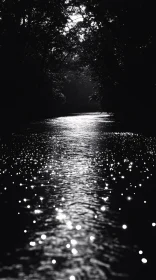 Peaceful Black and White Night River