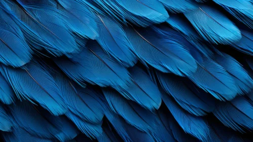 Azure Feathers Against Black Background - Nature Inspired Art