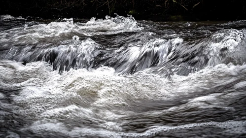 Vigorous Water Flow in a Rushing River