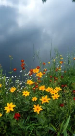 Colorful Wildflowers by the Tranquil Lake