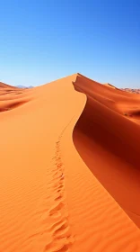 Captivating Orange Desert Sand Dune with Footprints | Nature Photography