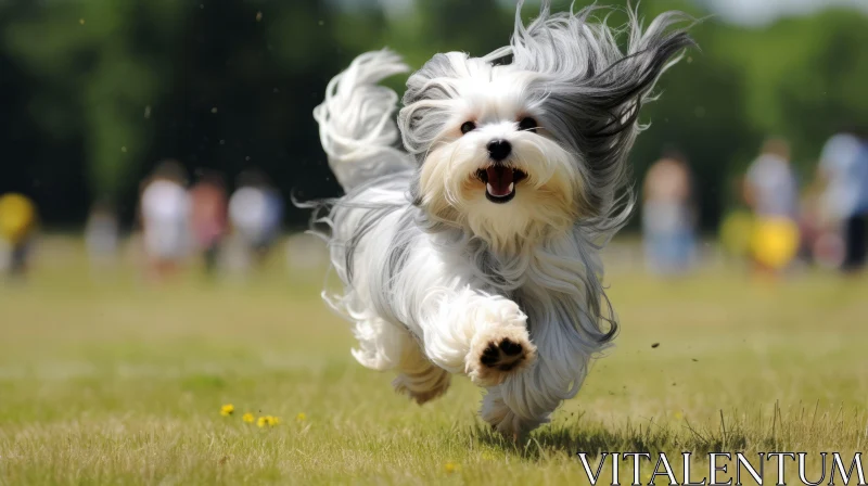 White and Grey Dog Running in a Field with a Cybermysticpunk Style AI Image
