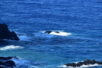 Oceanic Waves and Rocky Coast