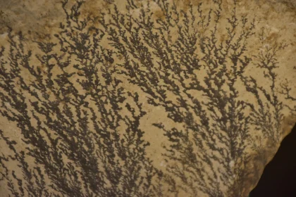 Natural Dendritic Patterns on Stone